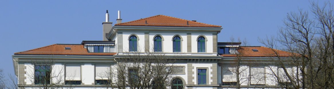 Schule Tössfeld